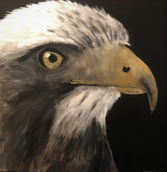 Eagle Eye - SOLD