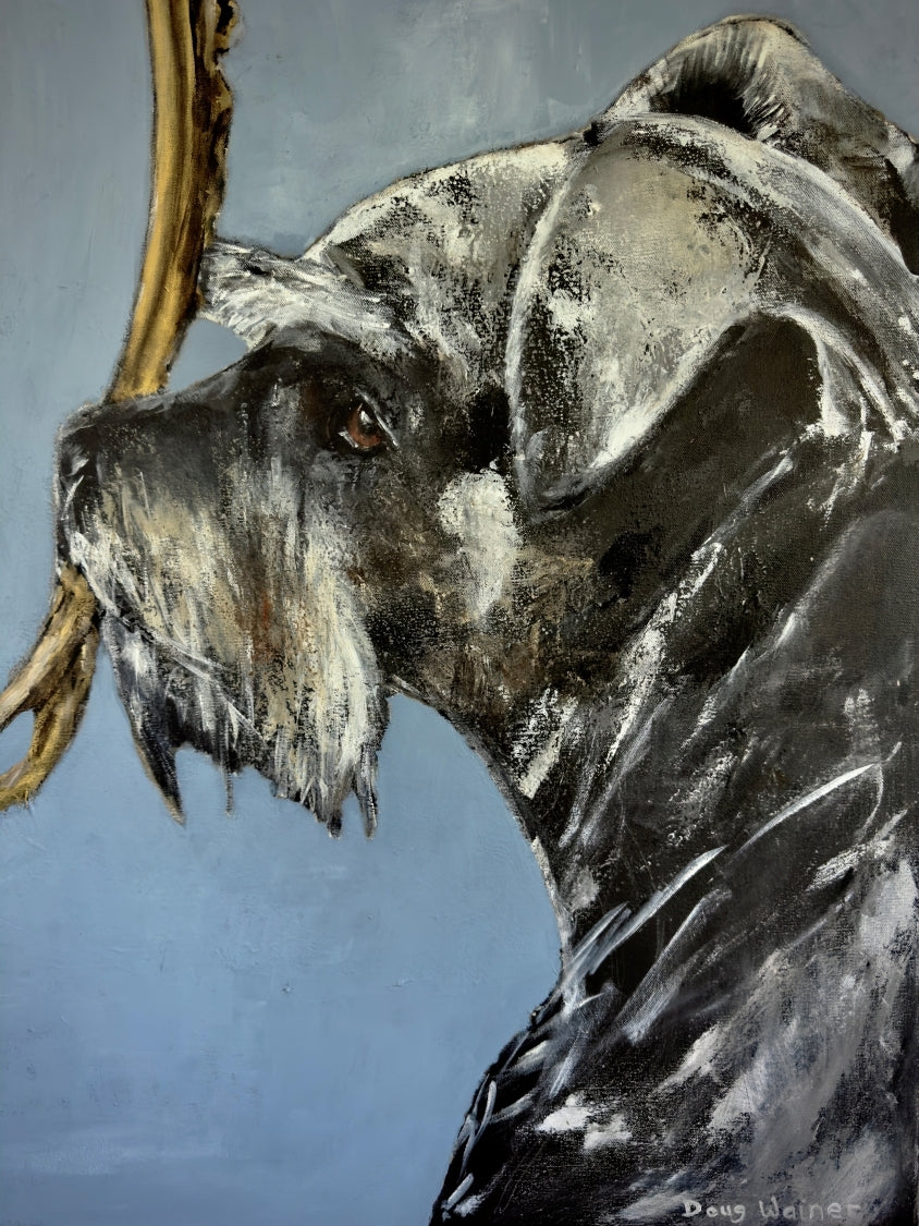 Schnauzer Print